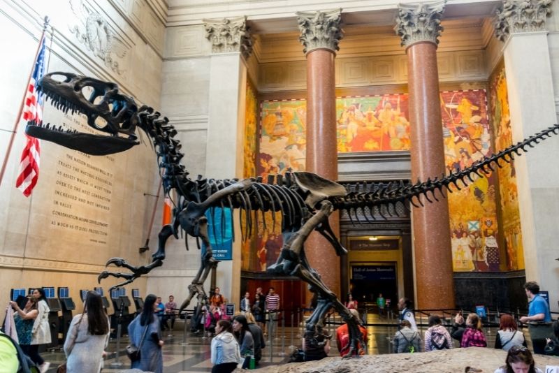 best museums in New York City