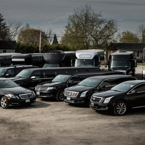 Limousine service fleets